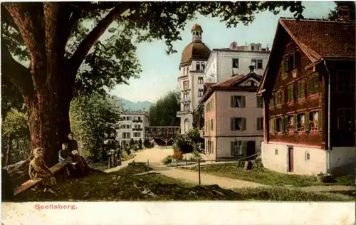 Seelisberg -187334