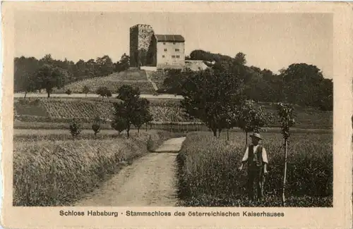 Schloss Habsburg -186936