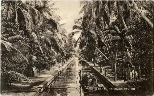 Negombo - Dutch canal -183146