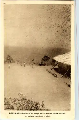 Cameroun - Dschang -183174