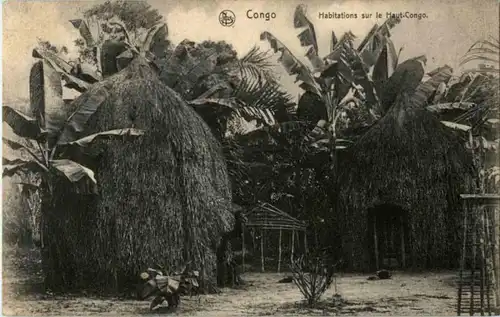 Congo - Habitations sur le Haut congo -183218