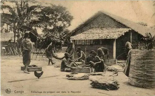 Congo - Mayumbe -183342
