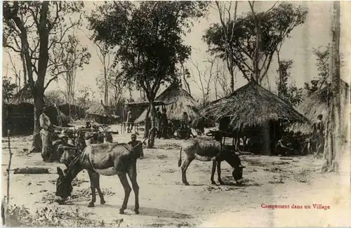 Campement das un village - Donkey -183262