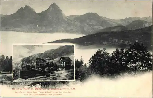 Seelisberg - Hotel Bellevue -187504