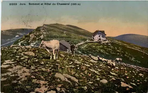 Sommet Chasseral -180560