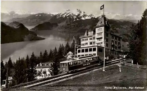 Rigi Kaltbad - Hotel Bellevue -139368