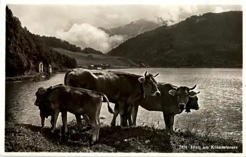 Idyll am Klöntalersee -139400