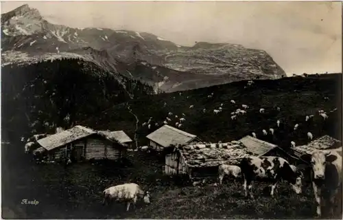 Axalp -186584