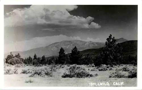 Idyllwild -14336