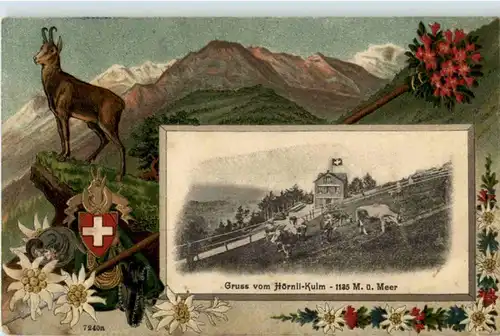 Gruss vom Hörnli Kulm -176144