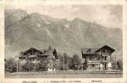 Chateau d Oex - Les chalets -181910