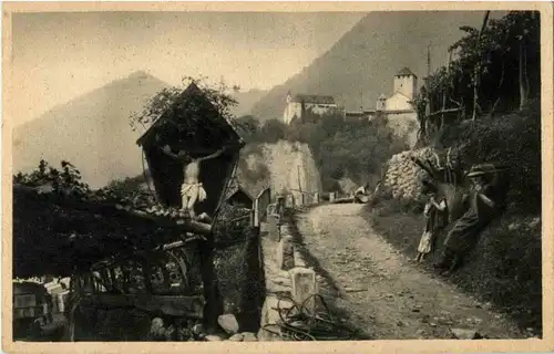 Merano - Castel Tirolo -14116