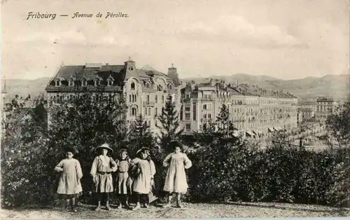 Fribourg - Avenue de Perolles -177312
