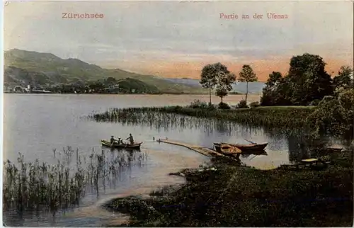 Zürichsee - Partie an der Ufenau -176276