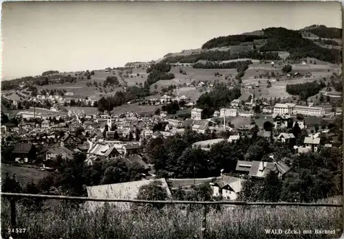 Wald mit bachtel -176468