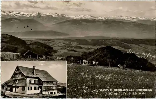 Wald - Gasthaus Alp Scheidegg -176132