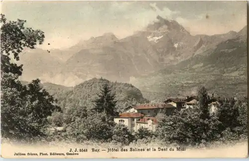 Bex - Hotel des Salines -182794