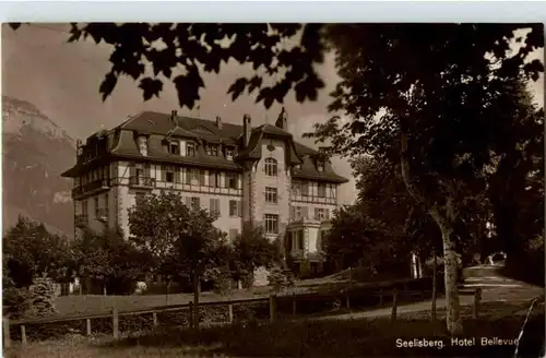 Seelisberg - Hotel Bellevue -181028