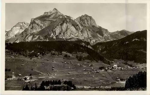 Wildhaus mit Schafberg -145026