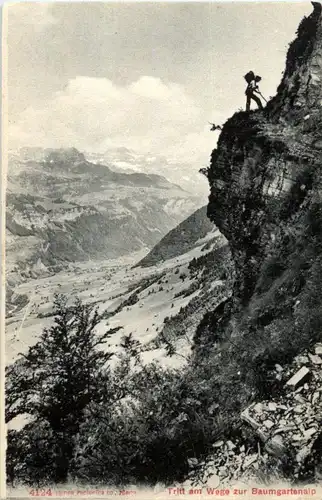 Baumgartenalp -184748