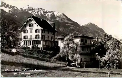 Sachseln - Hotel Seehof -181198