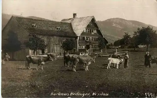 Nesslau - Cow Kühe -185212