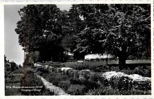 Jongny sur Vevey -182036