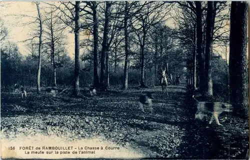 Rambouillet -12396