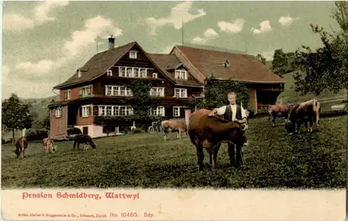 Wattwil - Pension Schmidberg -180052