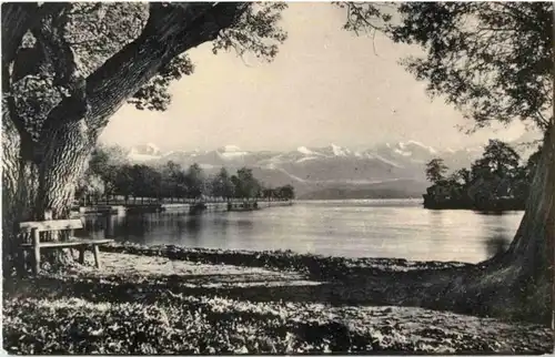 Seepromenade bei Thun -182552