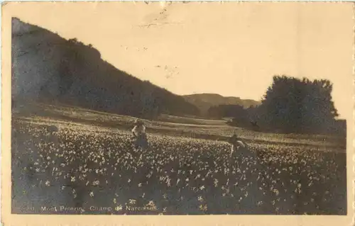 Mont Pelerin -182206