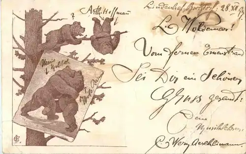 Bern - Bären - Bear -146978