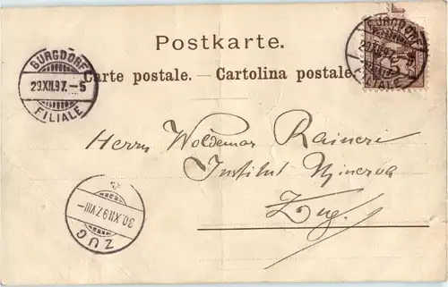 Bern - Bären - Bear -146978