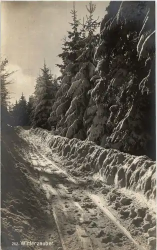 Winterzauber Unterwasser -179992