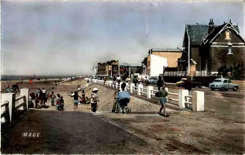 Le Crotoy Plage -12496