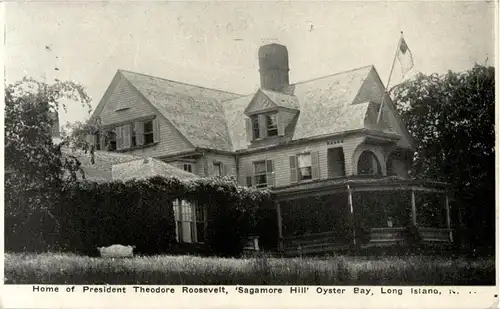 Long Island - Theodore Roosevelt -13506