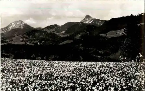 Les Pleiades -182218