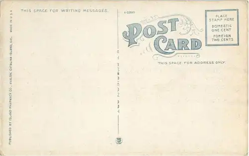 Santa Catalina Island -13604