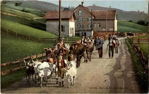 Wiesbad Steinegg - Heimkehr von der Alp - Ziegen goat -148366