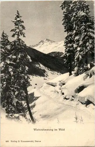 Winterstimmung im Wald -179124