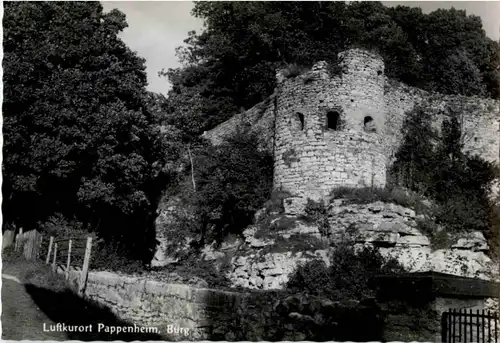 Pappenheim - Burg -149272