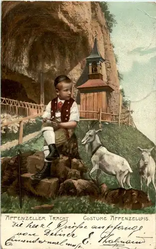 Wildkirchli - Ziege -188406