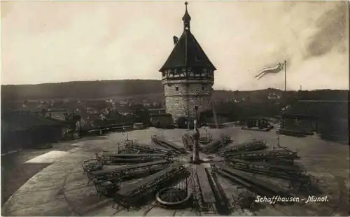 Schaffhausen - Munot -150312