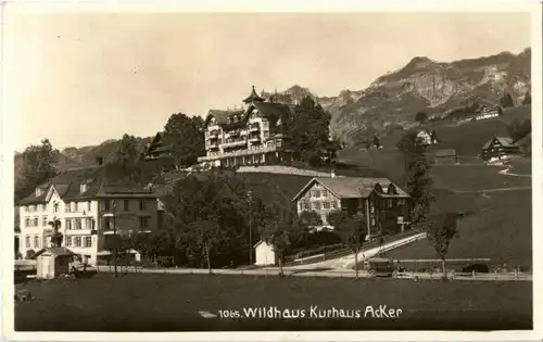 Wildhaus - Kurhaus Acker -180074