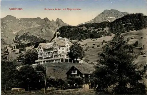 Wildhaus Kurhaus Anker -180100