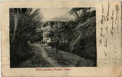 Aden - Palm garden Sheikh -184450