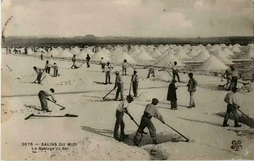 Salins du Midi -11702