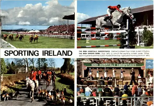Dublin - Sporting Ireland Horse -183648