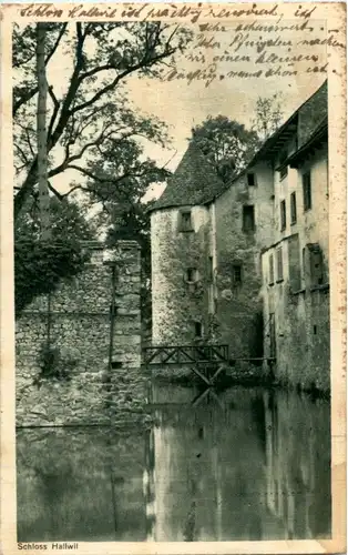 Schloss Hallwil -N7174