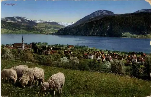 Oberaegeri mit Schafen -181602